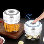 Mini Electric Food Chopper