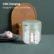 Mini Electric Food Chopper